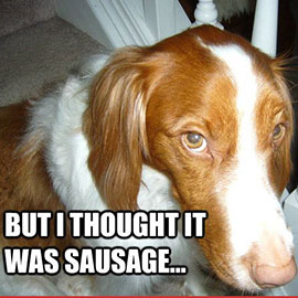 But I Thought It Was Sausage