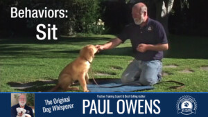 Paul Owens - Sit